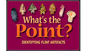 What's the Point? website graphic