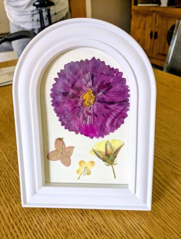 large purple pressed flower with smaller blossoms in a white arched frame